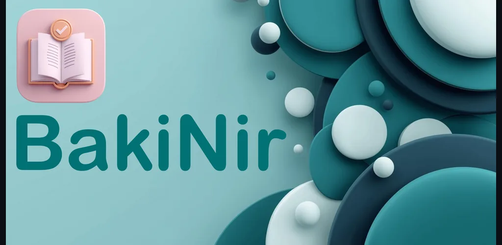 BakiNir accounting dashboard